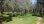 For Sale - Land 10500 m² on the island of Thassos