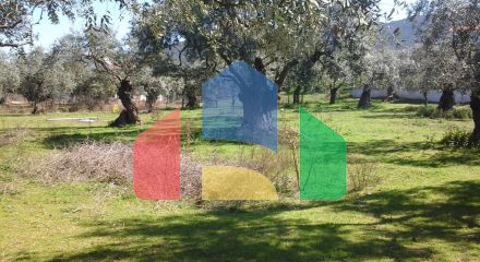 For Sale - Land 10500 m² on the island of Thassos