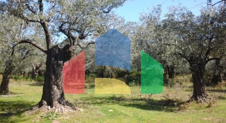 For Sale - Land 10500 m² on the island of Thassos
