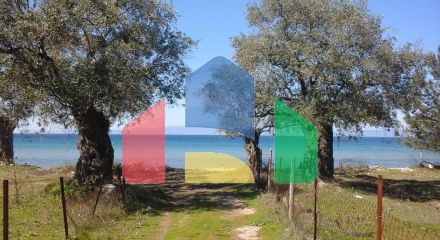 For Sale - Land 10500 m² on the island of Thassos