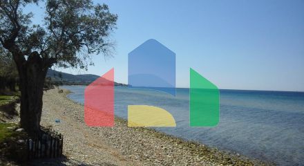 For Sale - Land 10500 m² on the island of Thassos