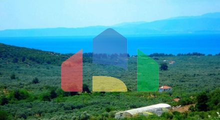 Продаж - Земельна ділянка 25000 m² на Тасосі
