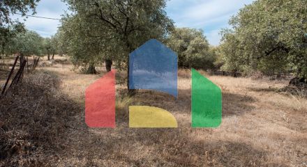 Продаж - Земельна ділянка 776 m² на Тасосі