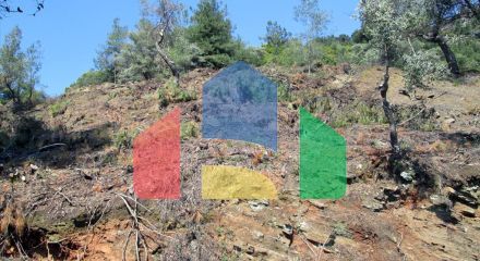 Продаж - Земельна ділянка 11700 m² на Тасосі