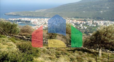 For Sale - Land 11000 m² in Cyclades