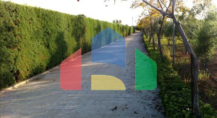 Продаж - Вілла 550 m² на західному Пелопоннесі