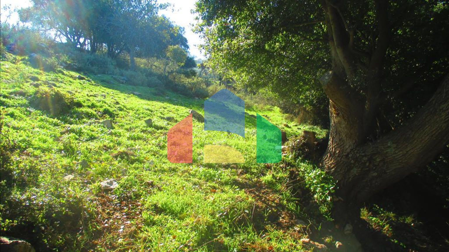 Продаж - Земельна ділянка 2200 m² на західному Пелопоннесі