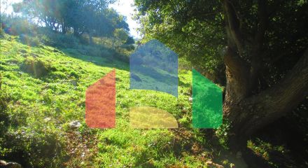 Продаж - Земельна ділянка 2200 m² на західному Пелопоннесі