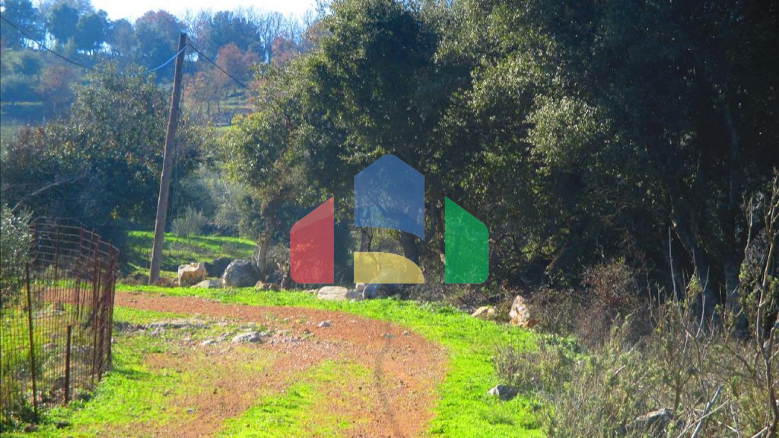 Продаж - Земельна ділянка 2200 m² на західному Пелопоннесі