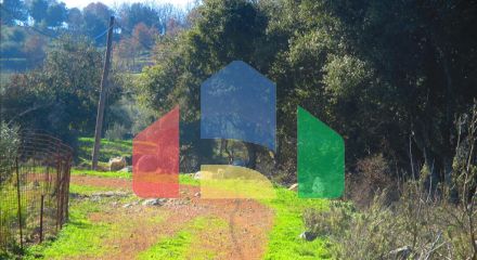 Продаж - Земельна ділянка 2200 m² на західному Пелопоннесі