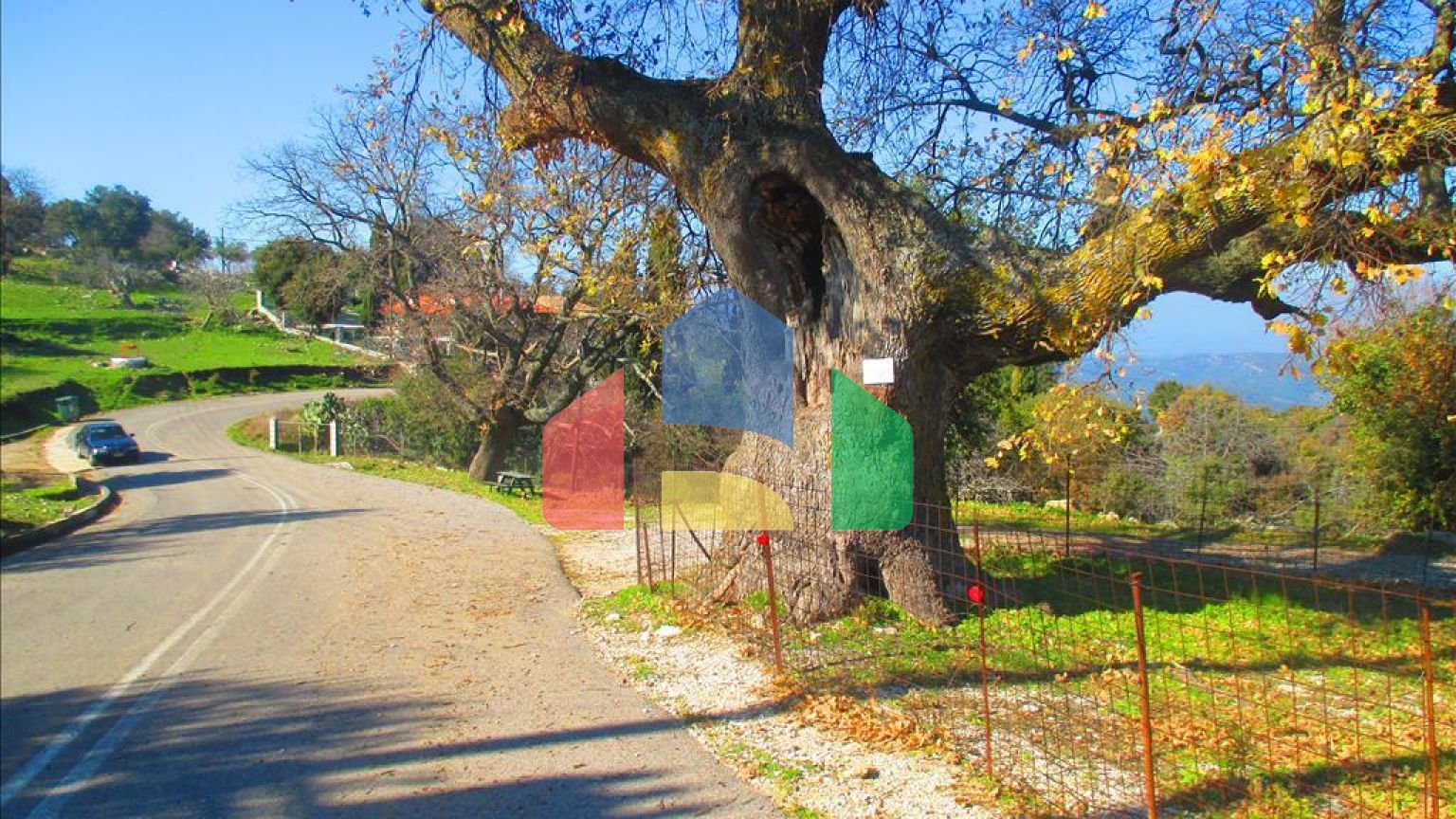 Продаж - Земельна ділянка 2200 m² на західному Пелопоннесі