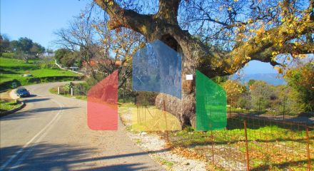 Продаж - Земельна ділянка 2200 m² на західному Пелопоннесі