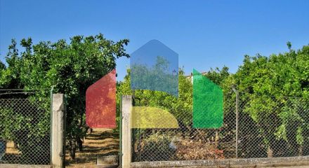 For Sale - Land 782 m² in Eastern Peloponnese