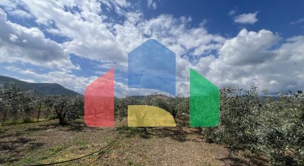 Продаж - Вілла 240 m² на східному Пелопоннесі