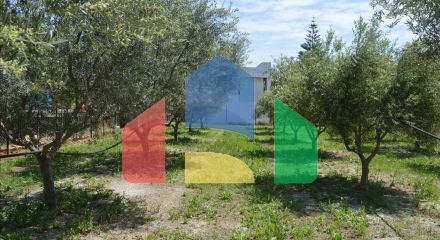 Продажа - Земельный участок 2000 m² на Восточном Пелопоннесе
