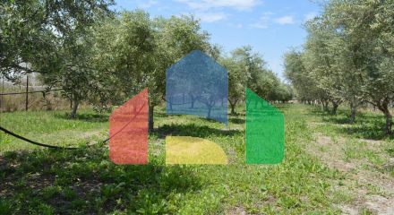 Продажа - Земельный участок 2000 m² на Восточном Пелопоннесе