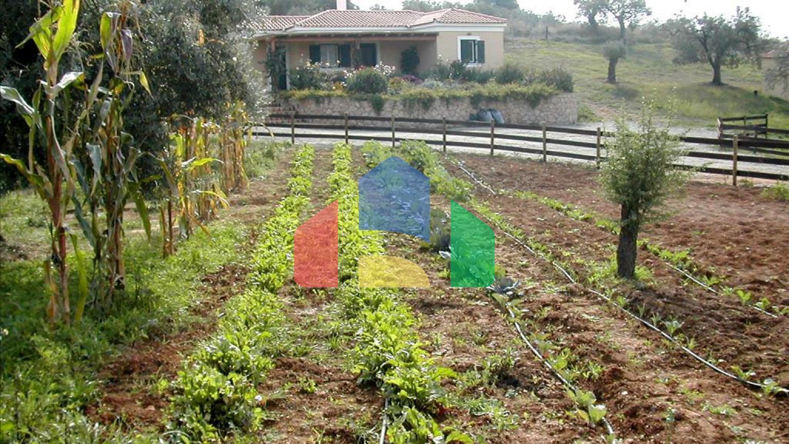 Продажа - Земельный участок 44600 m² на Восточном Пелопоннесе