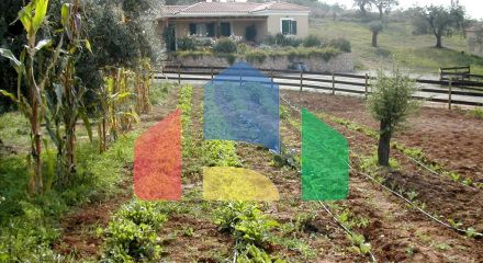 Продажа - Земельный участок 44600 m² на Восточном Пелопоннесе