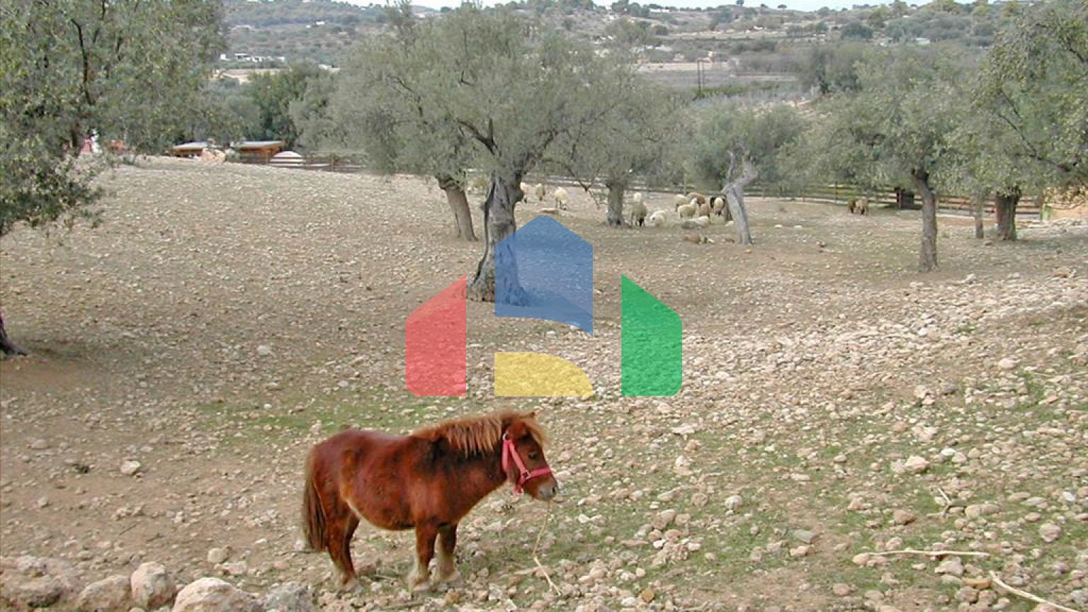 Продажа - Земельный участок 44600 m² на Восточном Пелопоннесе