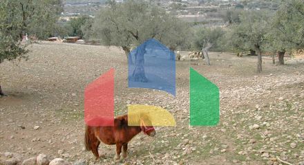 Продажа - Земельный участок 44600 m² на Восточном Пелопоннесе