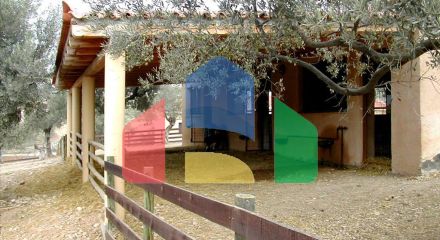 Продажа - Земельный участок 44600 m² на Восточном Пелопоннесе