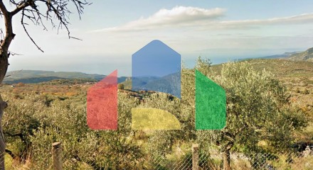 Продаж - Земельна ділянка 2000 m² на східному Пелопоннесі