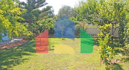 Продаж - Котедж 400 m² на східному Пелопоннесі