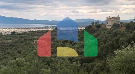 For Sale - Land 15500 m² in Eastern Peloponnese