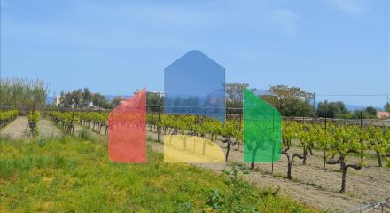 Продажа - Земельный участок 335 m² на Восточном Пелопоннесе Продажа - Земельный участок 335 m² на Восточном Пелопоннесе