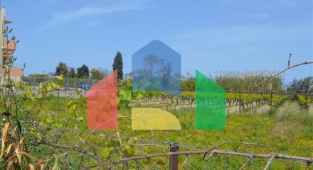 Продажа - Земельный участок 335 m² на Восточном Пелопоннесе