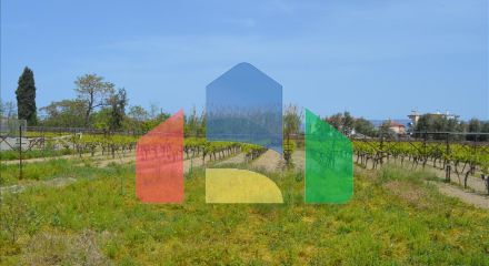 Продажа - Земельный участок 335 m² на Восточном Пелопоннесе