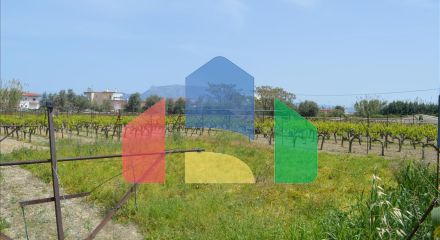 Продажа - Земельный участок 335 m² на Восточном Пелопоннесе