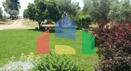 Продажа - Коттедж 100 m² на Ситонии (Халкидики)