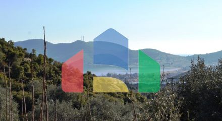 For Sale - Land 5500 m² in Kavala suburbs