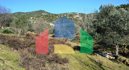 For Sale - Land 5500 m² in Kavala suburbs