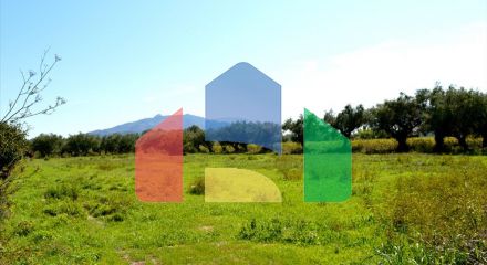 Продаж - Земельна ділянка 5000 m² о. Закінф