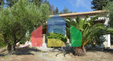 For Sale - Business in Zante