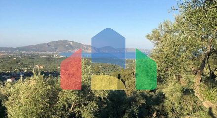 For Sale - Land 4050 m² in Zante