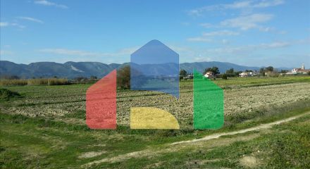 For Sale - Land 120000 m² in Zante