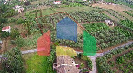 For Sale - Land 3348 m² in Zante