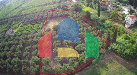 For Sale - Land 3348 m² in Zante