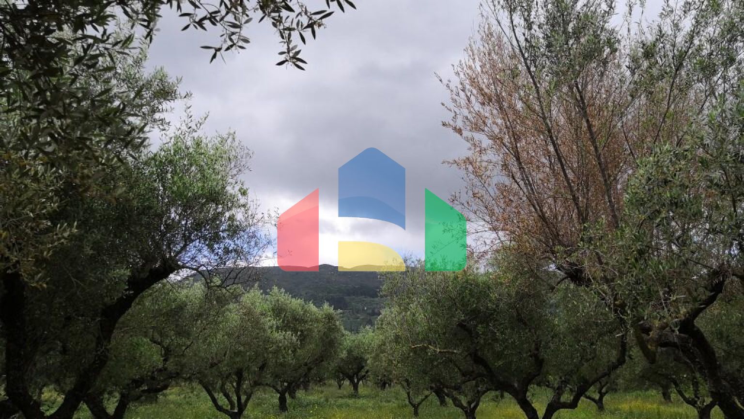 Продаж - Котедж 350 m² о. Закінф