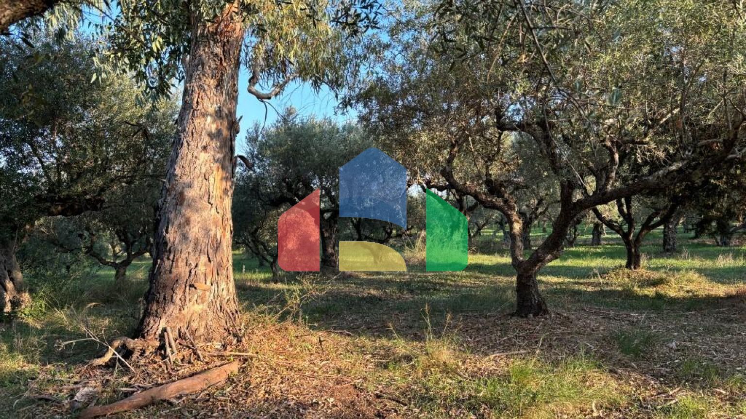 Продаж - Котедж 350 m² о. Закінф