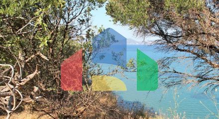 For Sale - Land 4500 m² in Zante