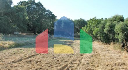 For Sale - Land 4500 m² in Zante