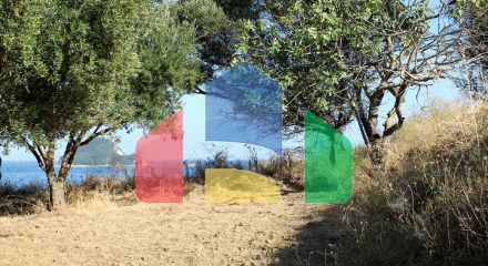 For Sale - Land 4500 m² in Zante