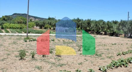 For Sale - Land 700 m² in Zante