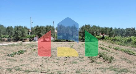 For Sale - Land 700 m² in Zante