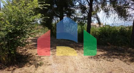 Продаж - Готель о. Закінф