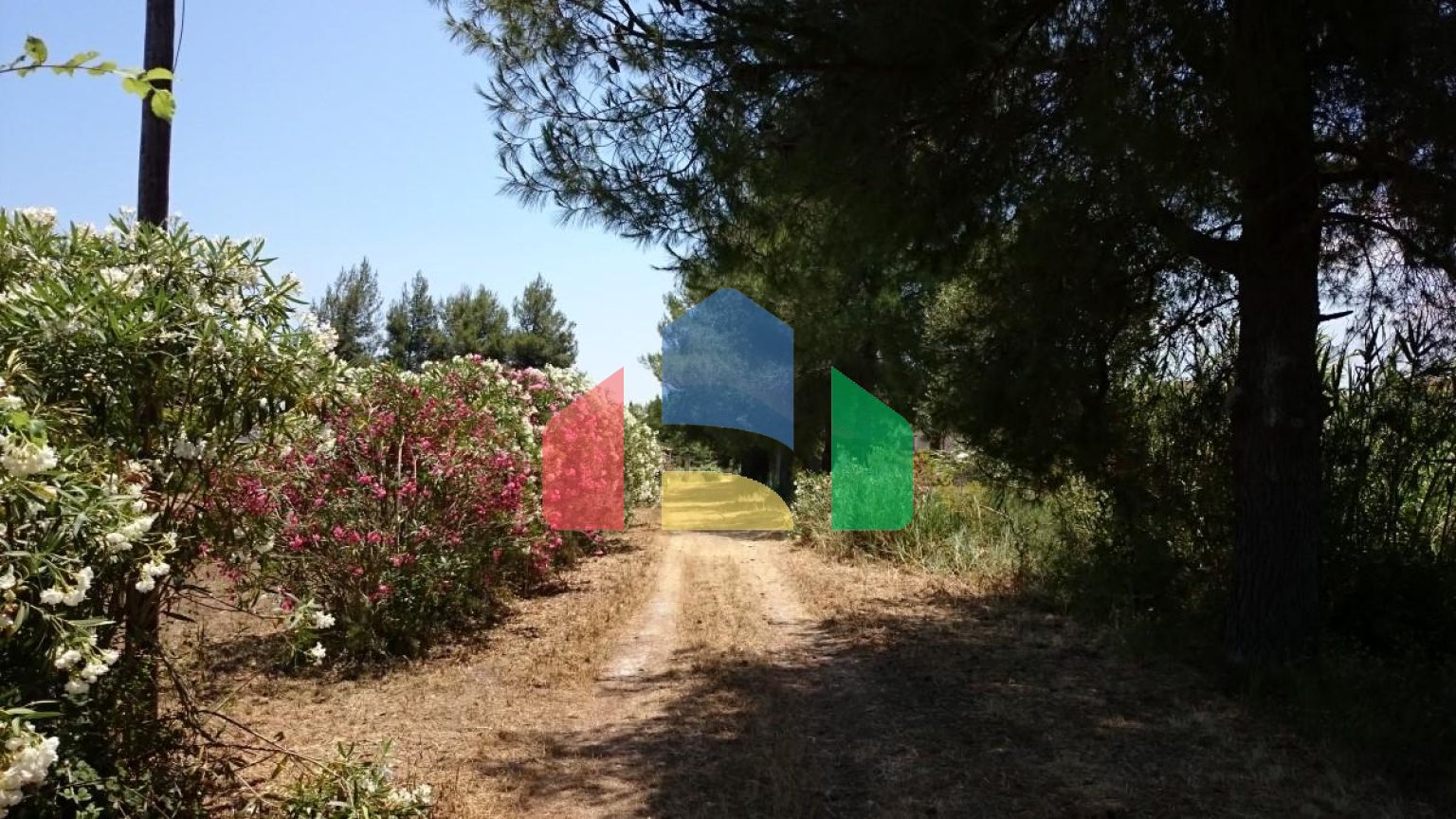 Продаж - Готель о. Закінф